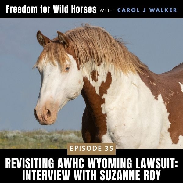Freedom for Wild Horses with Carol J. Walker | Revisiting AWHC Wyoming Lawsuit: Interview with Suzanne Roy
