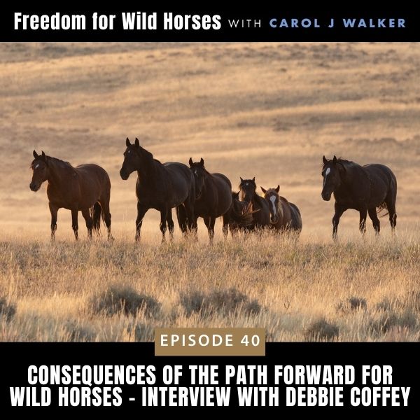 Freedom for Wild Horses with Carol J. Walker | Consequences of the Path Forward for Wild Horses - Interview with Debbie Coffey