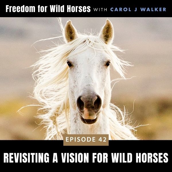 Freedom for Wild Horses with Carol J. Walker | Revisiting A Vision for Wild Horses