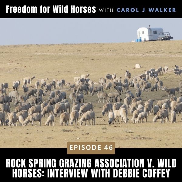 Freedom for Wild Horses with Carol J. Walker | Rock Spring Grazing Association v. Wild Horses: Interview with Debbie Coffey