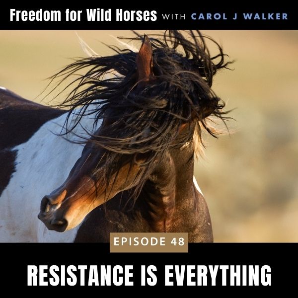 Freedom for Wild Horses with Carol J. Walker | Resistance is Everything